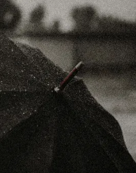 Black umbrella